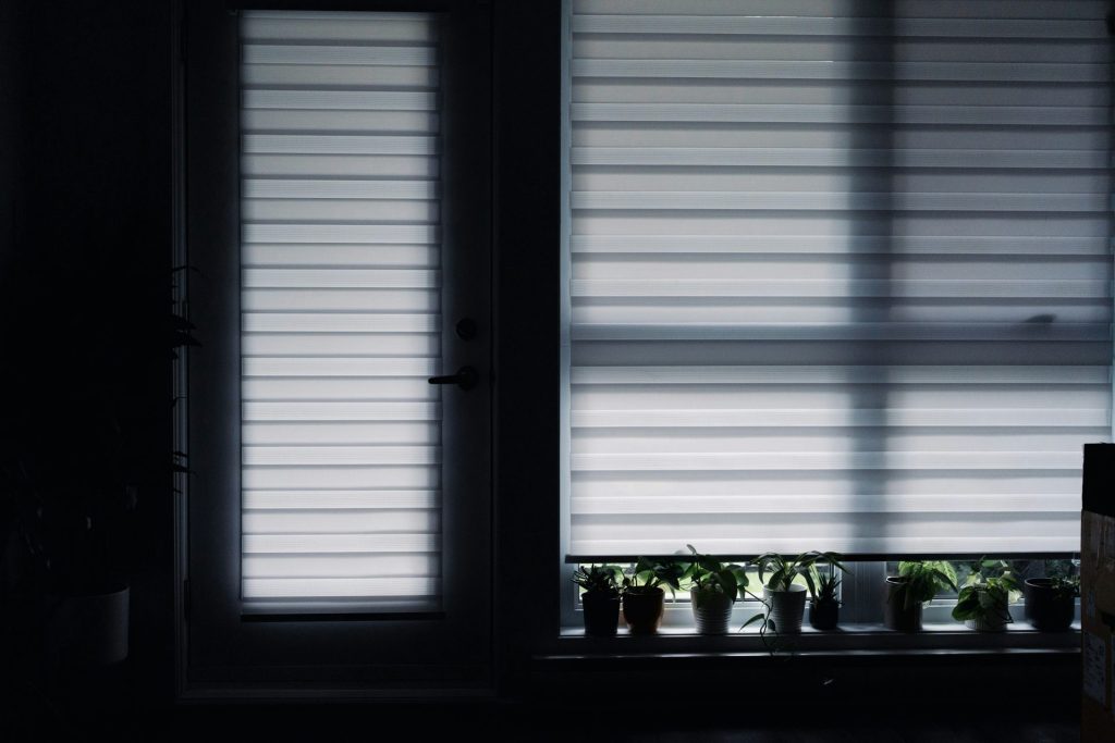 Window blinds with potted plants below